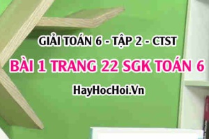 Giải bài 1 trang 22 Toán 6 Tập 2 SGK Chân trời sáng tạo